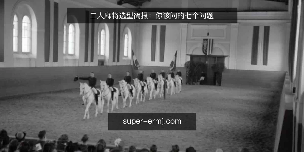 二人麻将选型简报:你该问的七个问题 — 你的二人麻将需求定义是什么? 配图